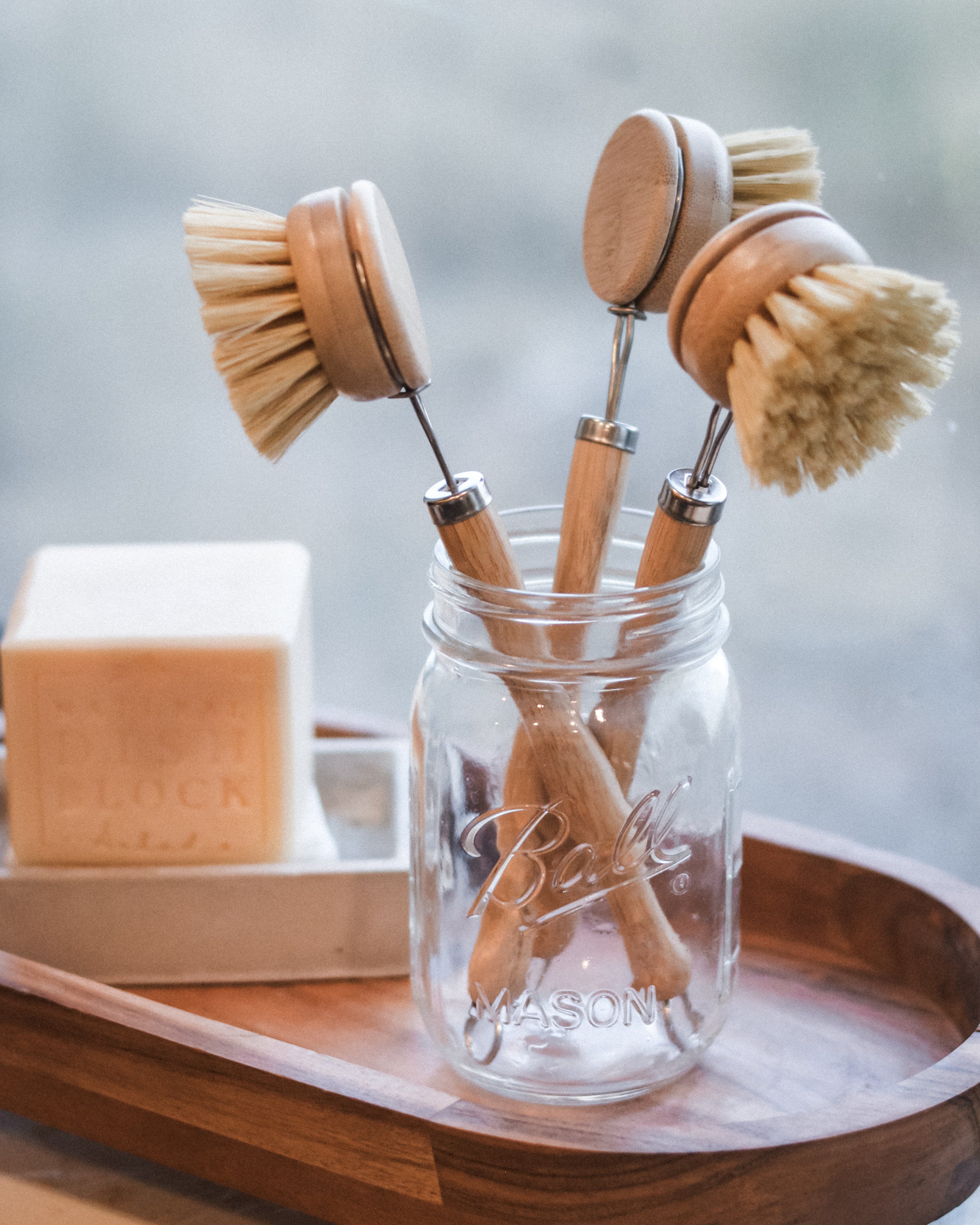 Dish Brush