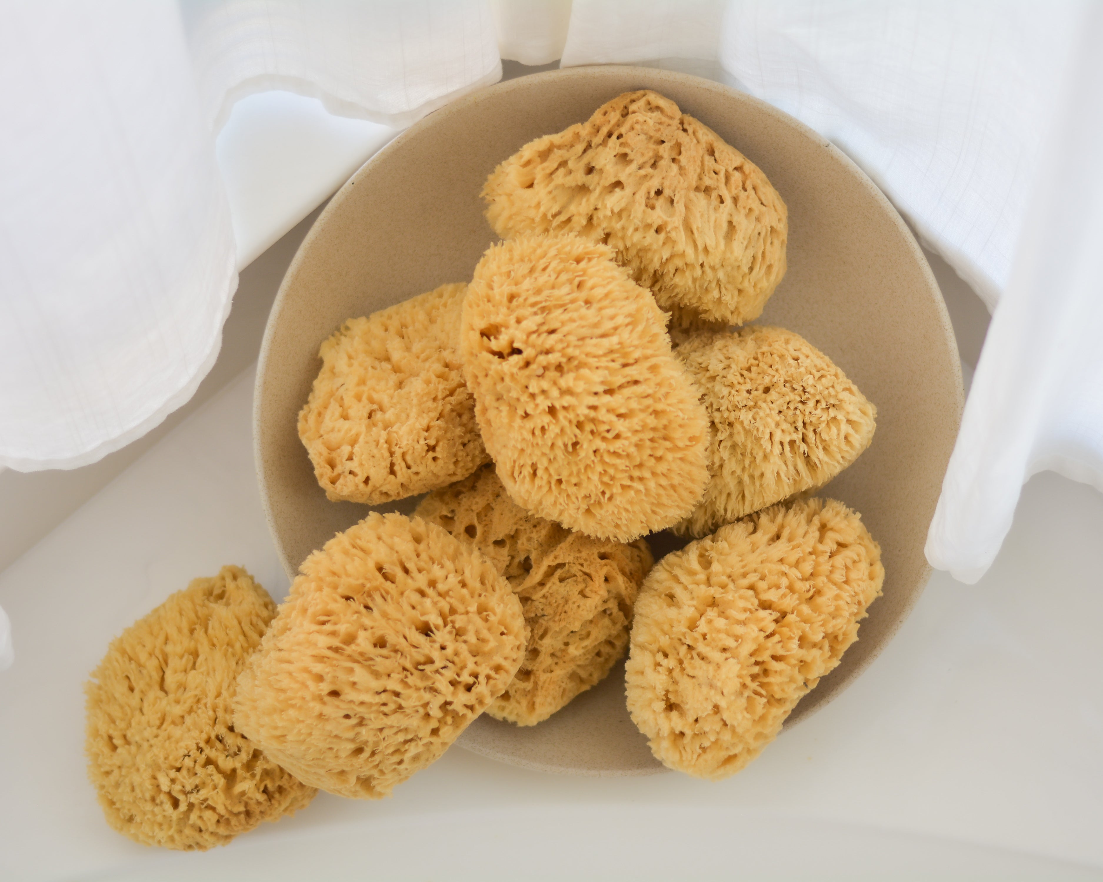 Natural Sea Sponges