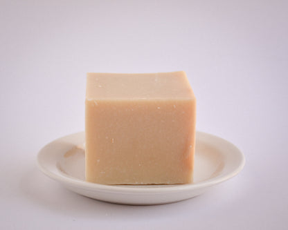 Dish Soap | Orange Spice 16 oz.