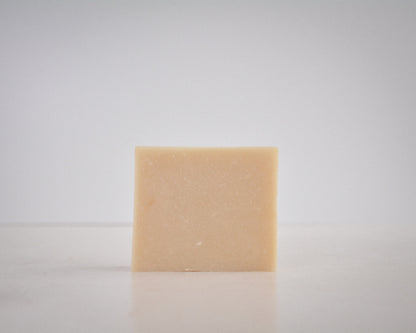 Dish Soap | Orange Spice 5 oz.